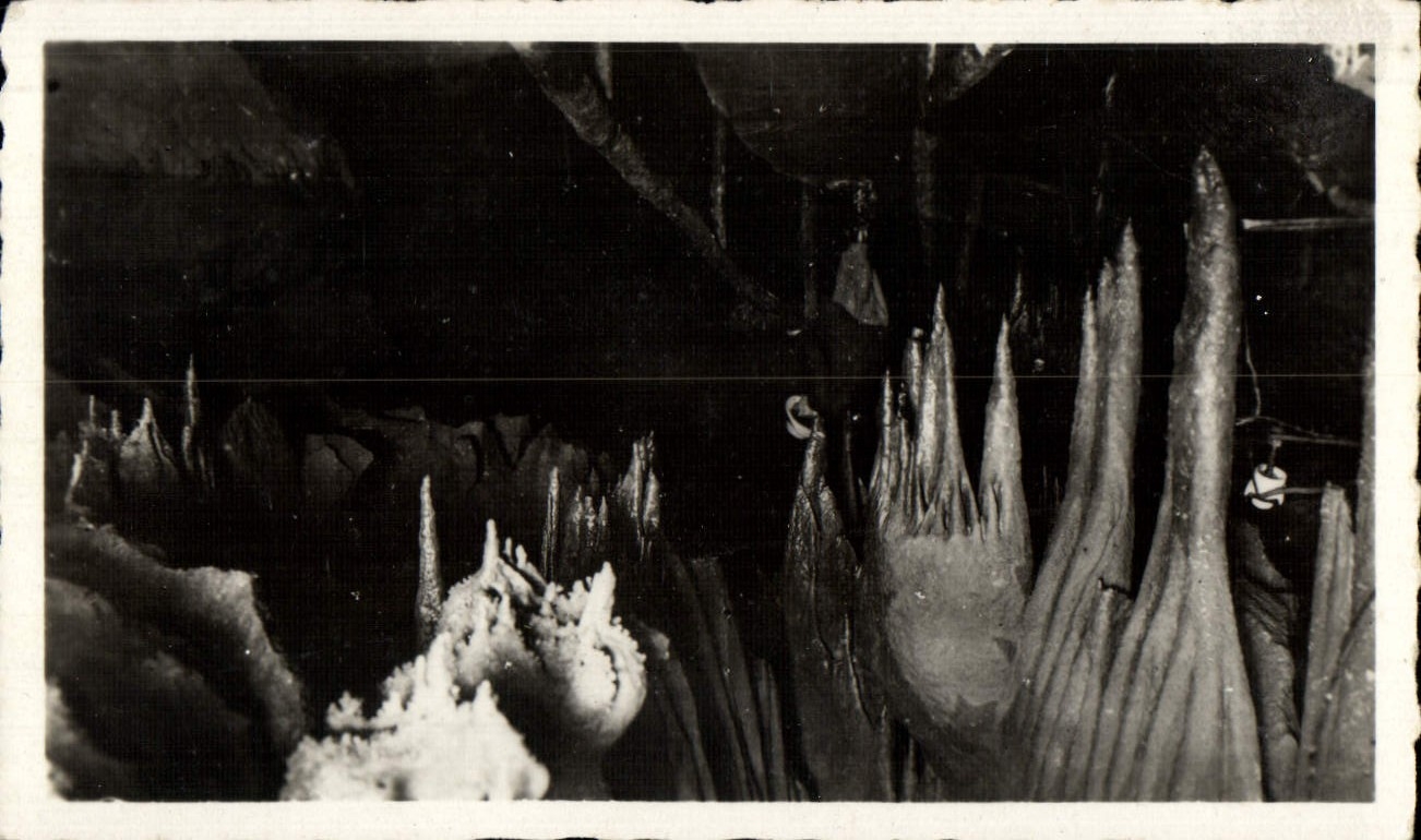 CPM Les Pyrenees Les Grottes De Betharram La Salle Des Pieuvres
