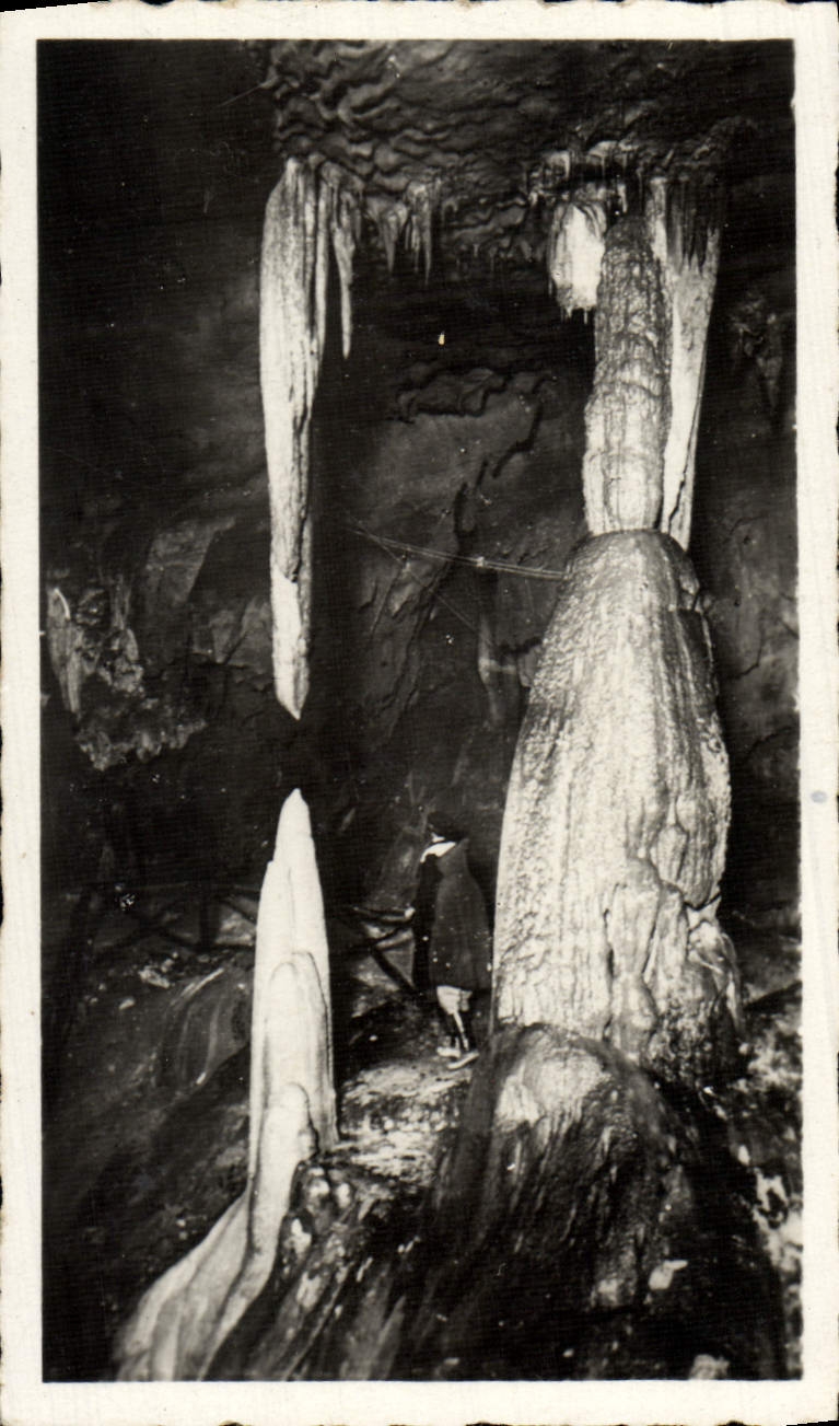 CPM Les Pyrenees Les Grottes De Betharram Stalactites Vivantes