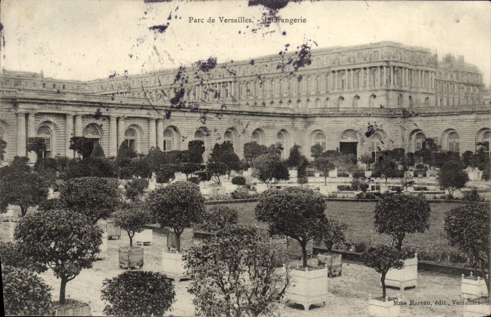 CPA Palais de Versailles Parc de L'Orangerie