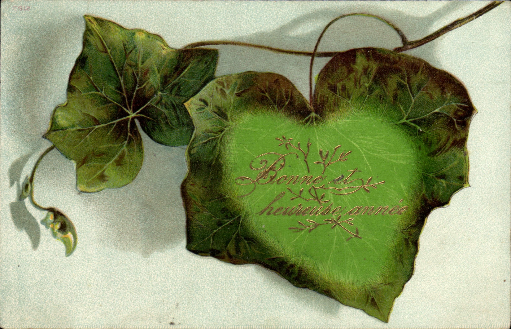 VINTAGE POSTCARD Fantasy Flowers Vine