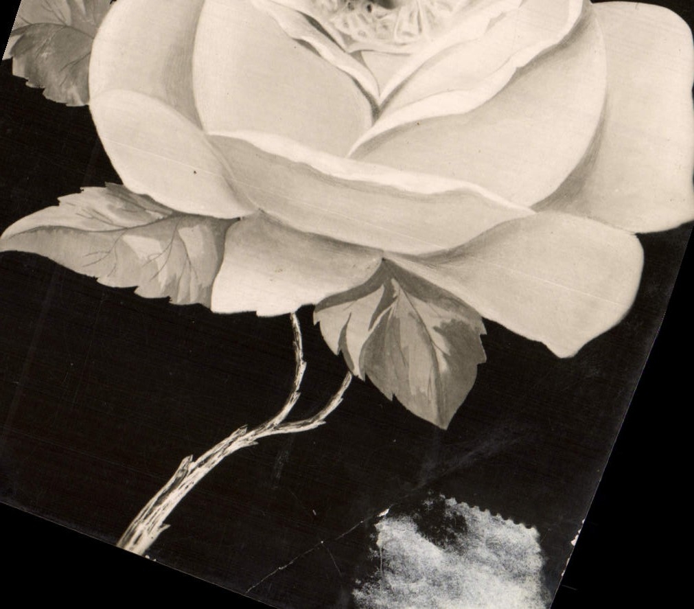 CPA Fantaisie Enfant dans une rose