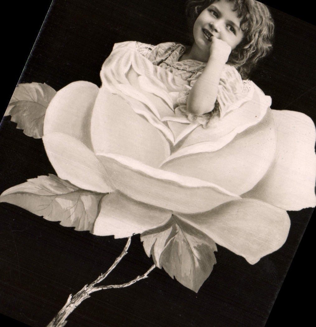 CPA Fantaisie Enfant dans une rose