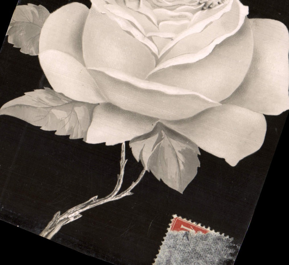 CPA Fantaisie Enfant dans une rose