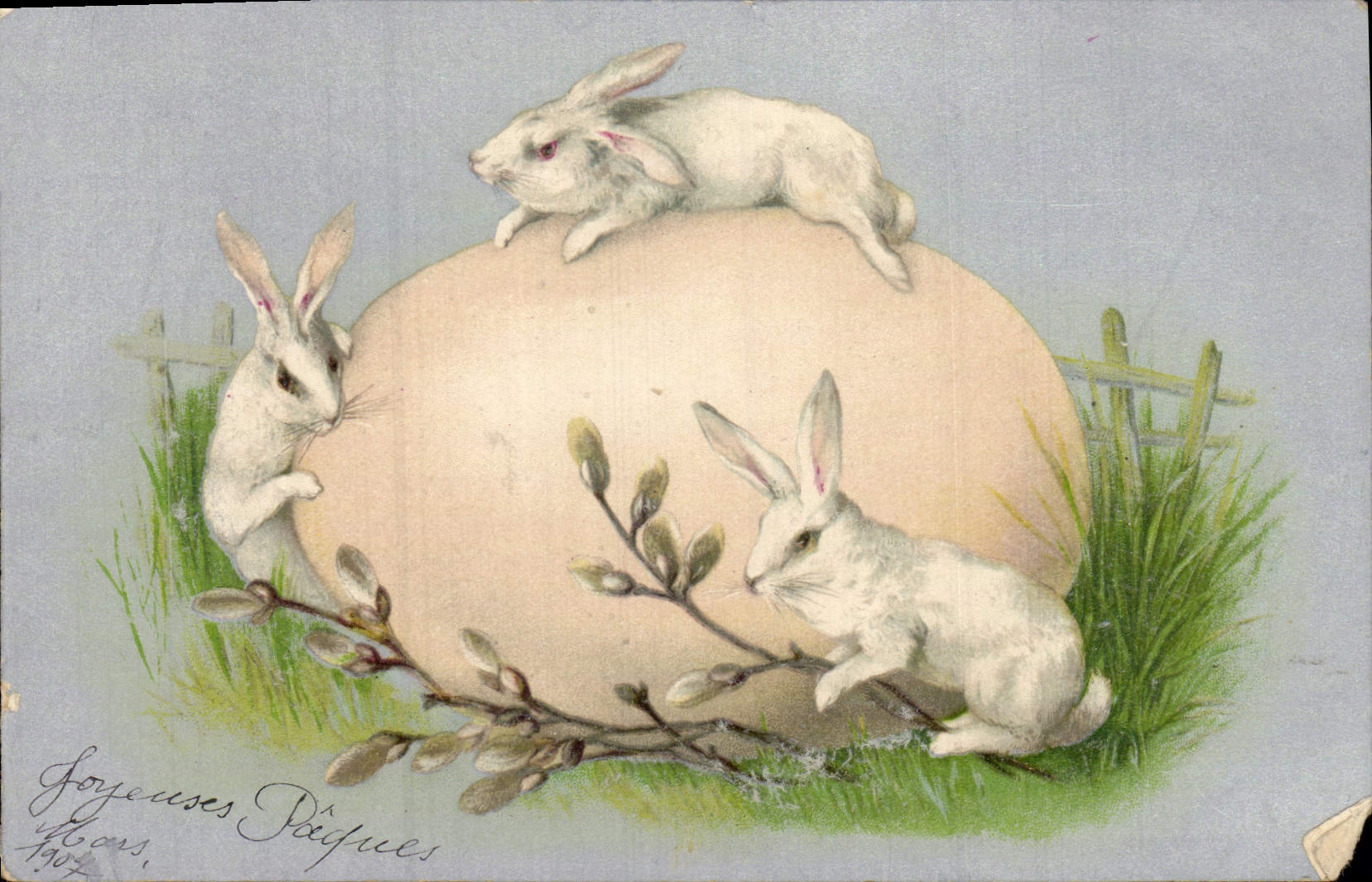 CPA Fantaisie Lapins