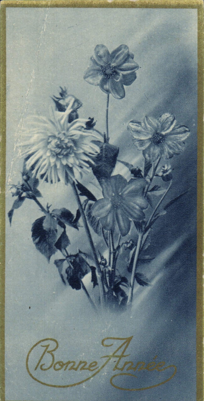 CPA Fantaisie Fleurs 