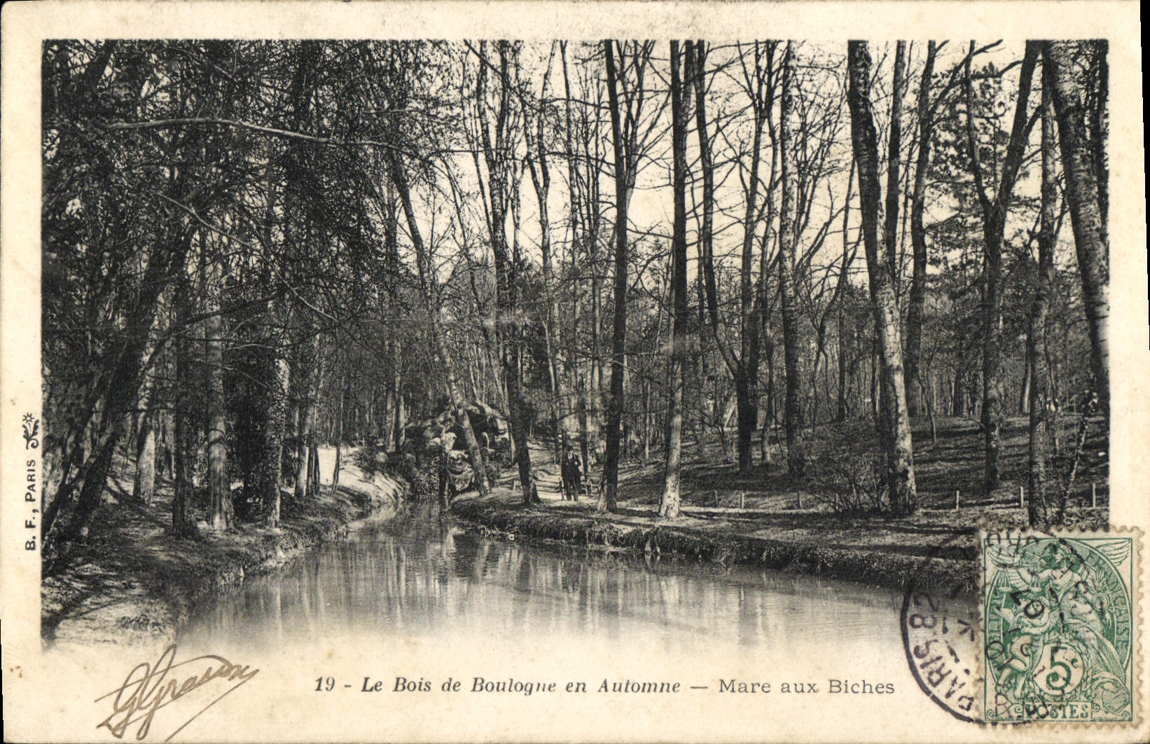 VINTAGE POSTCARD Paris the Bois de Boulogne In Fall Pond With the Hinds