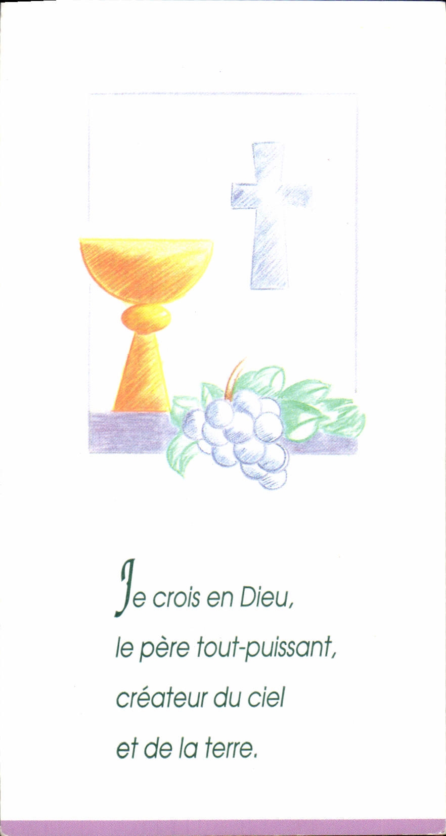 Image pieuse Profession de Foi 5 juin 1993 Bretteville en Saine Thomas Buard Romain Baudet