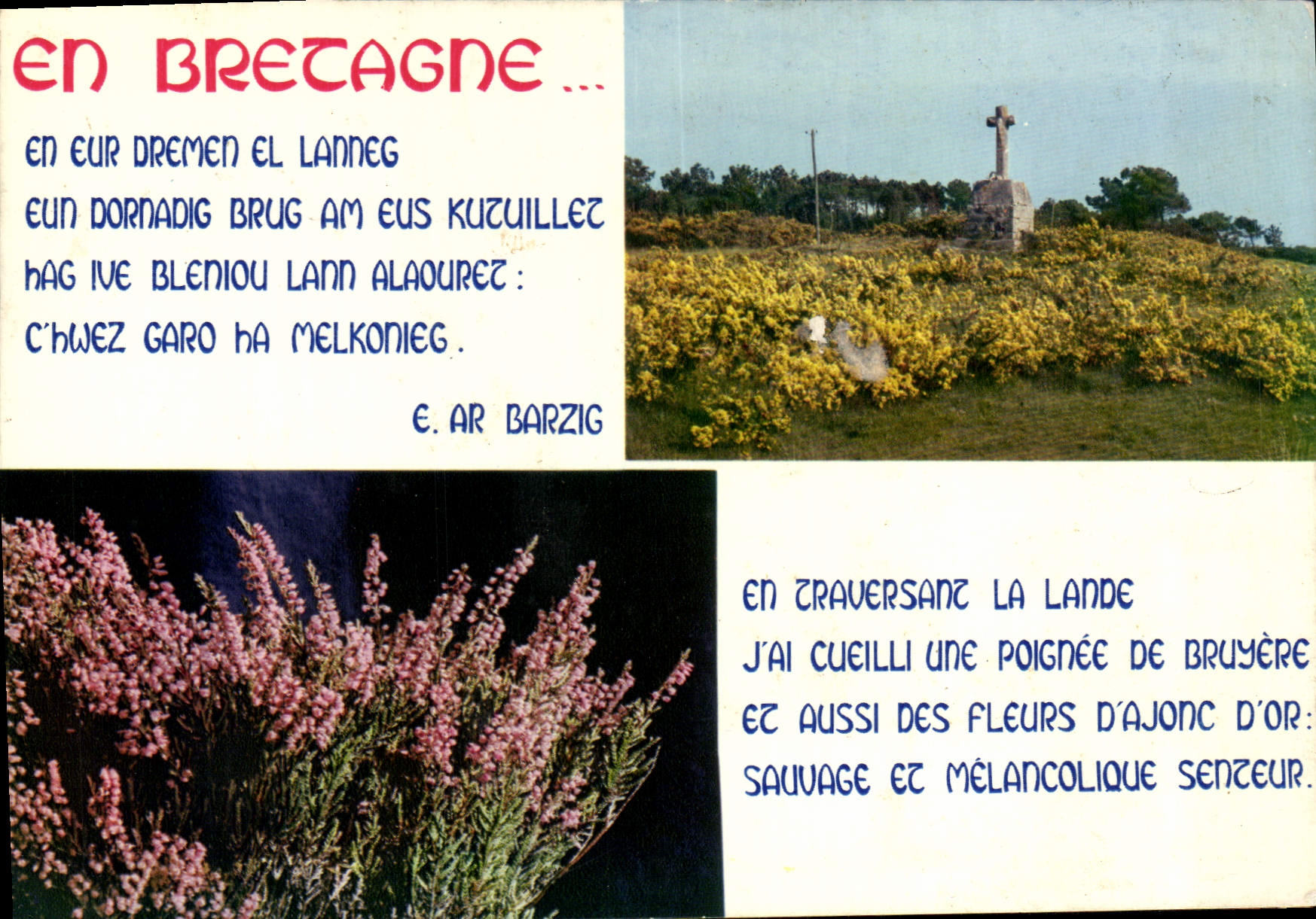 MODERN CARD In Brittany In Eur Dremen El Lanneg