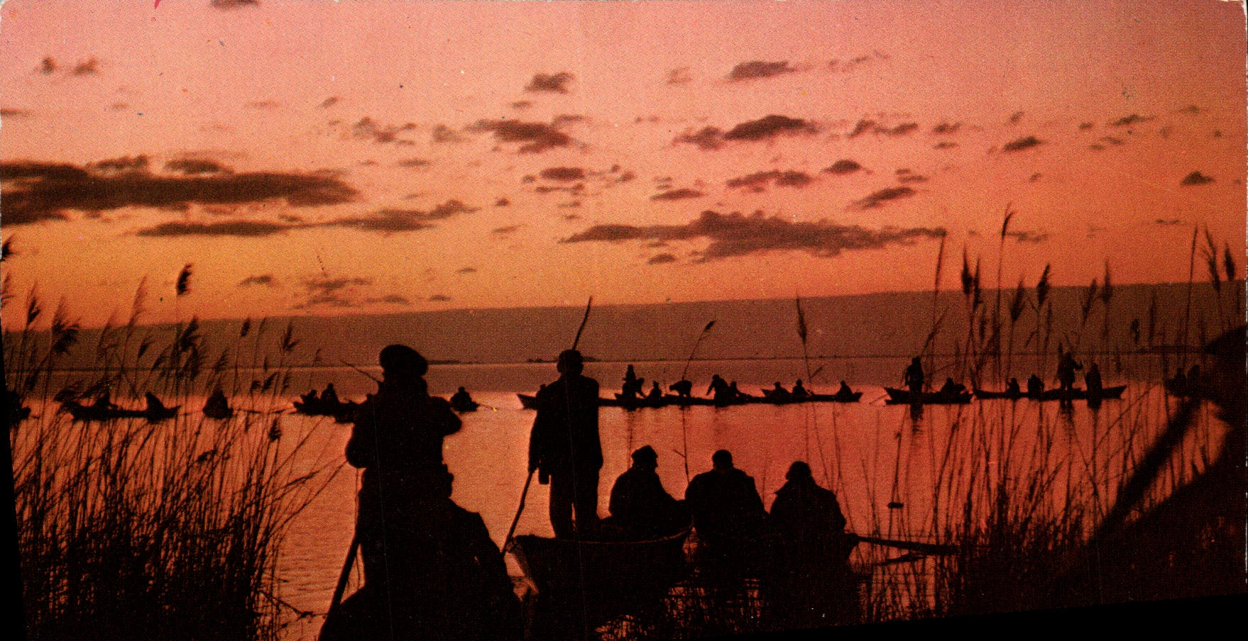 MODERN CARD Paysages Mediterranceens At the Small Day On the Ponds drives out With Duck