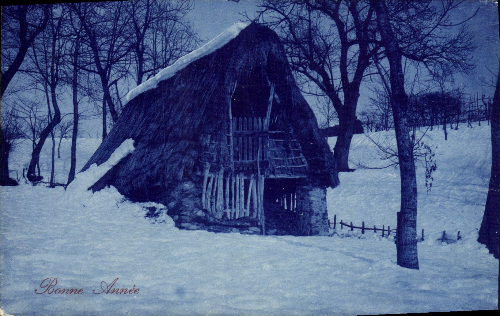 CPA Fantaisie Bonne annee