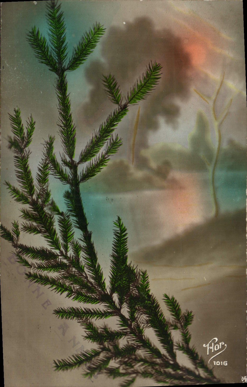 VINTAGE POSTCARD Fantasy Pine