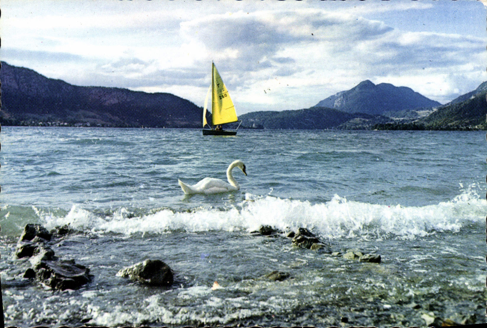 CPM Le cygne argente Lac bleu Bateau