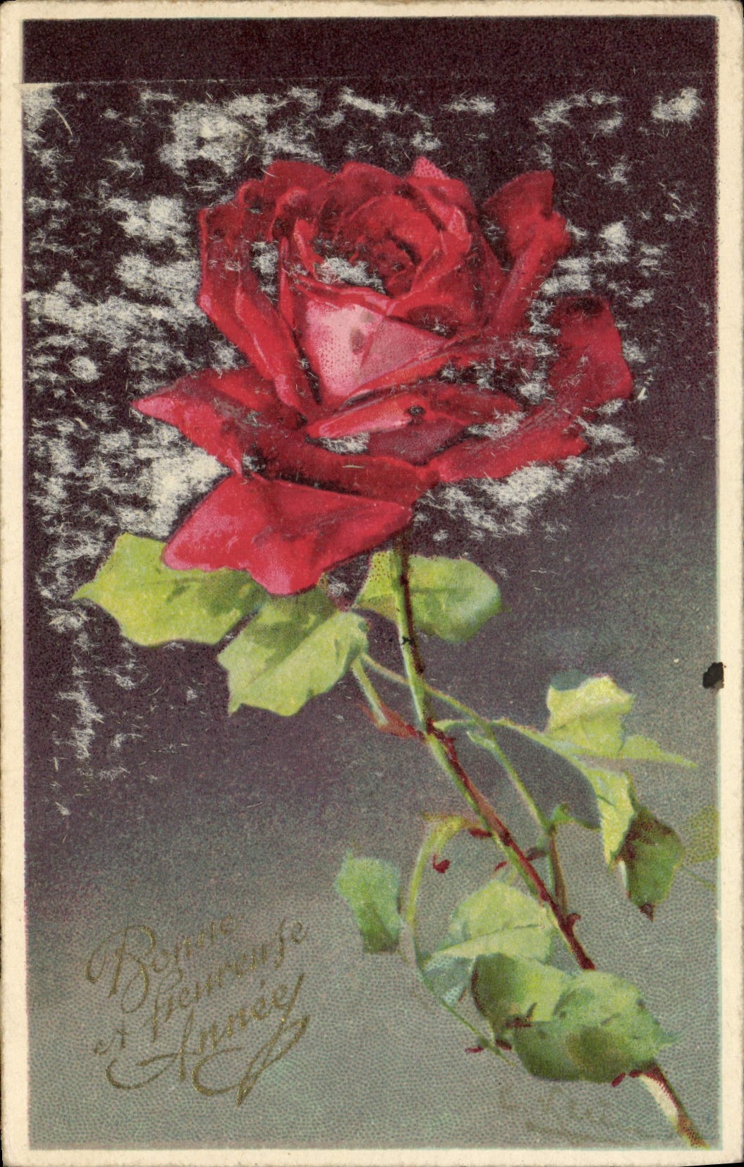 VINTAGE POSTCARD Fantasy Flower Rose Happy New Year