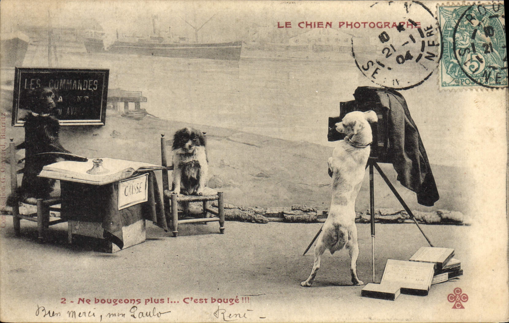 CPA Fantaisie Le chien photographe