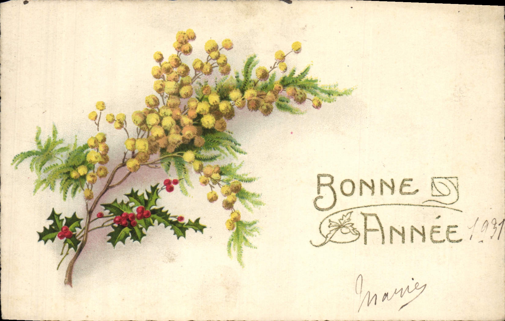 CPA Fantaisie Fleurs Bonne Annee