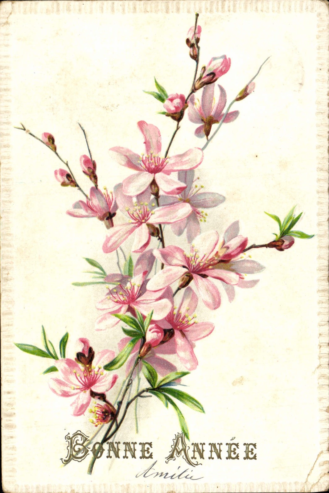 CPA Fantaisie Fleurs