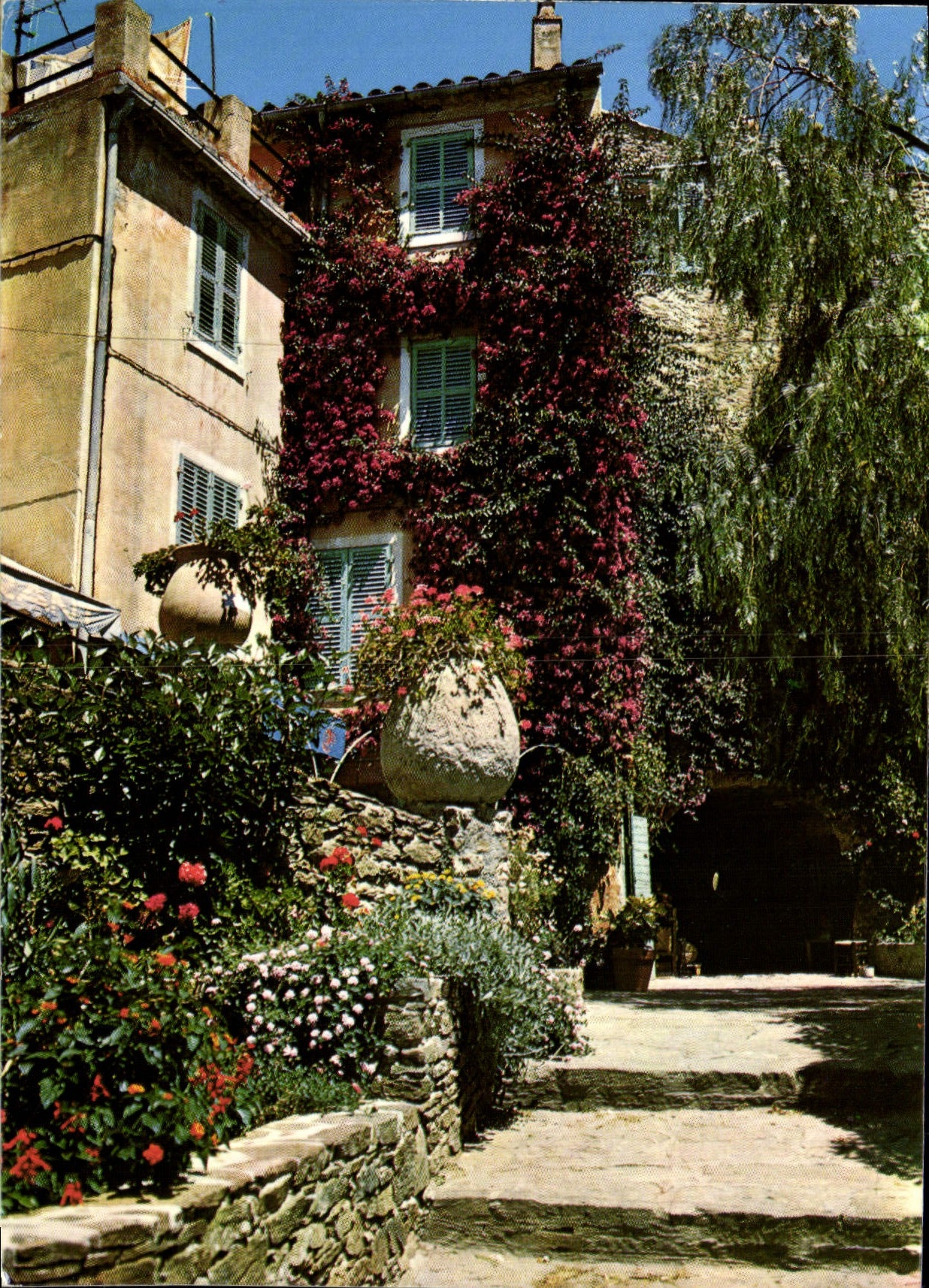 CPM Lumiere Et Beaute De La Cote d'Azur Ruelle De Provence