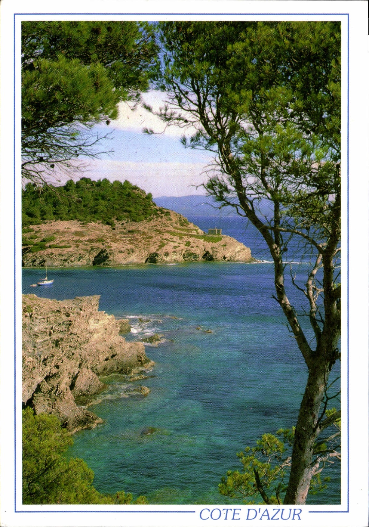 CPM La Cote d'Azur calanque Dans Les Pins