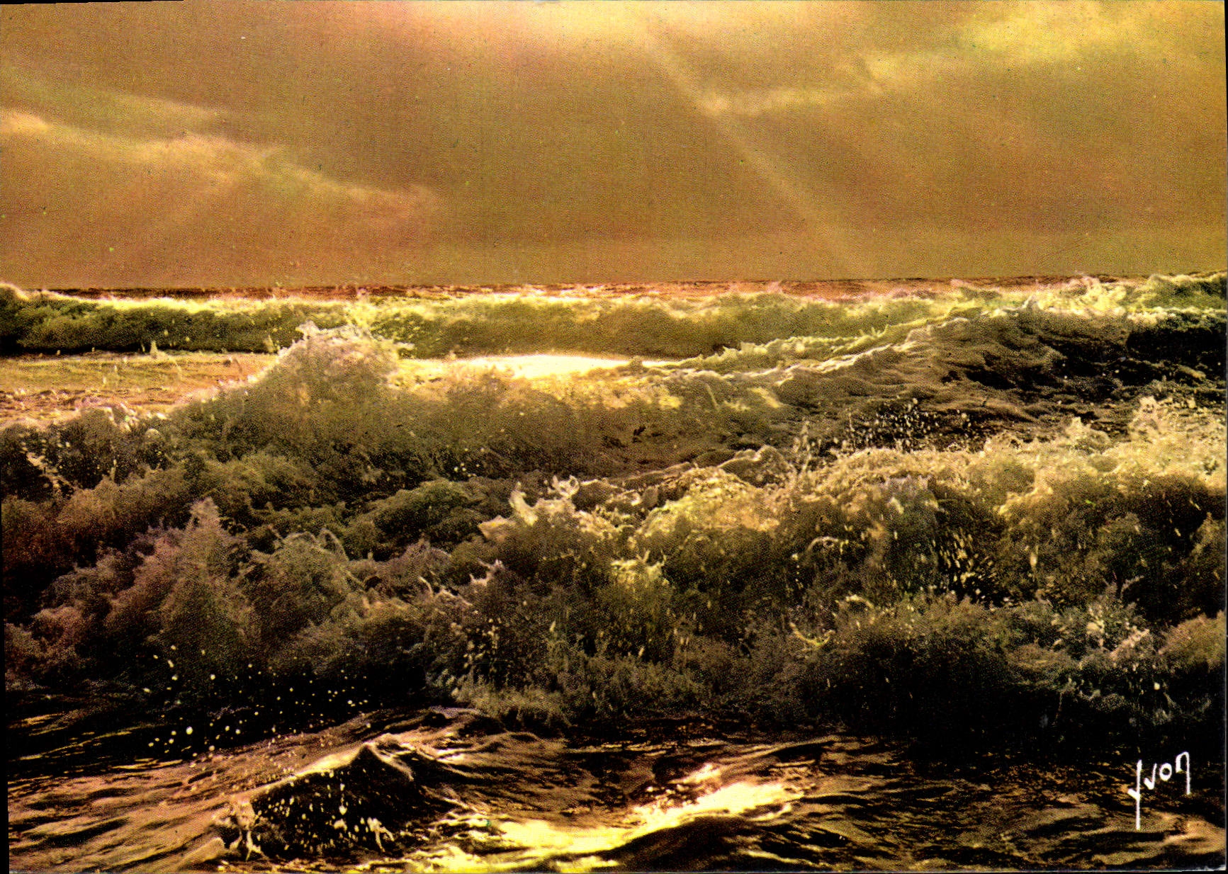 MODERN CARD Colors And Light Of France Sunset On the Sea