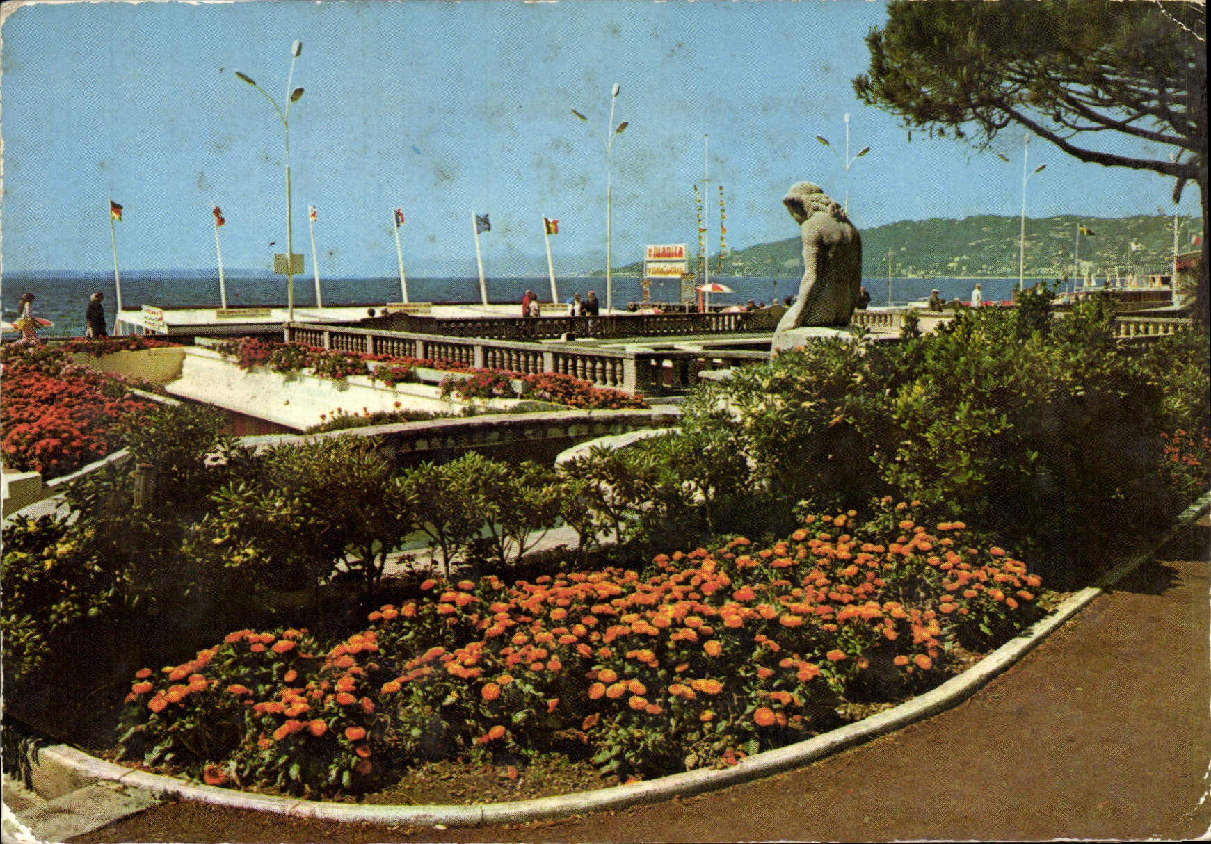CPM Juan Les Pins Une Partie Des Jardins En Bordure De La Pinede