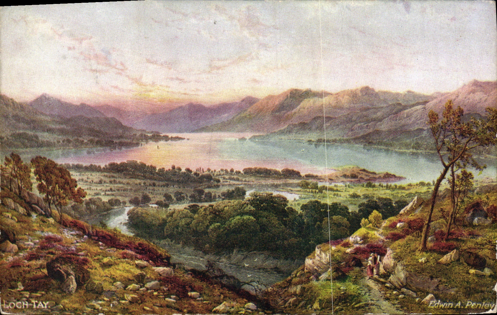 VINTAGE POSTCARD Fantasy Tay Log