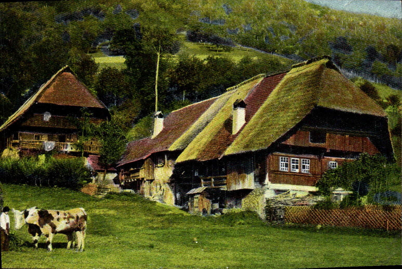CPA Fantaisie Maison Attelage Boeufs