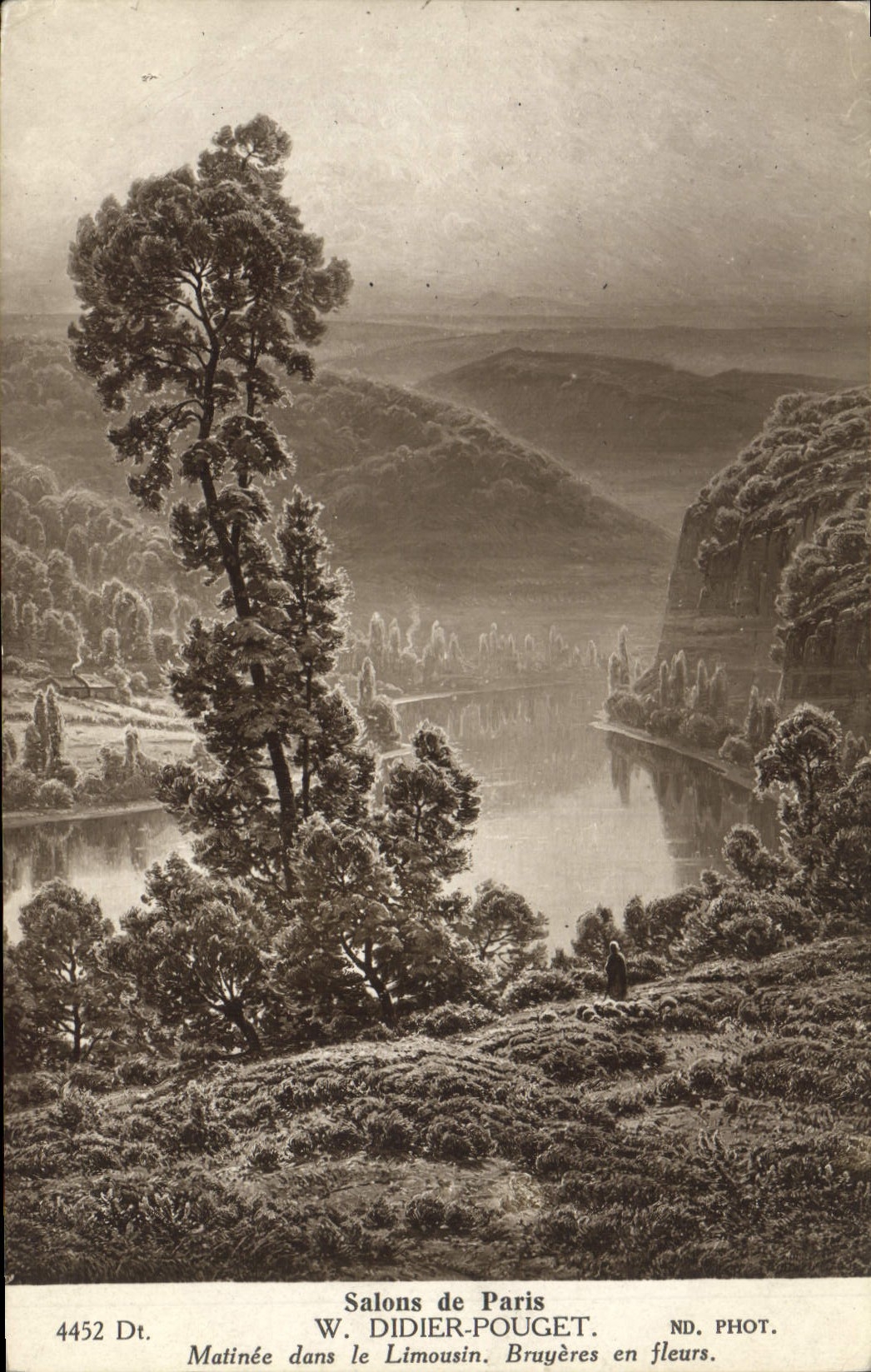 VINTAGE POSTCARD Crossbred Fantasy Living rooms of Paris Didier Pouget in the Limousin Heathers in flowers