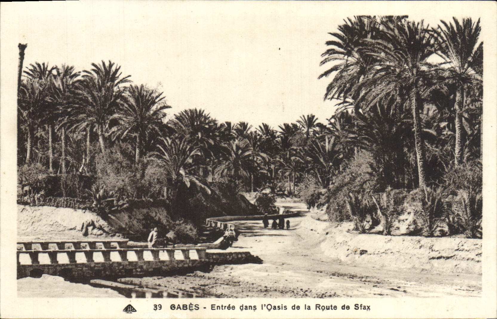 CPA Gabes Entree dans I'Oasis de la Route de Sfax