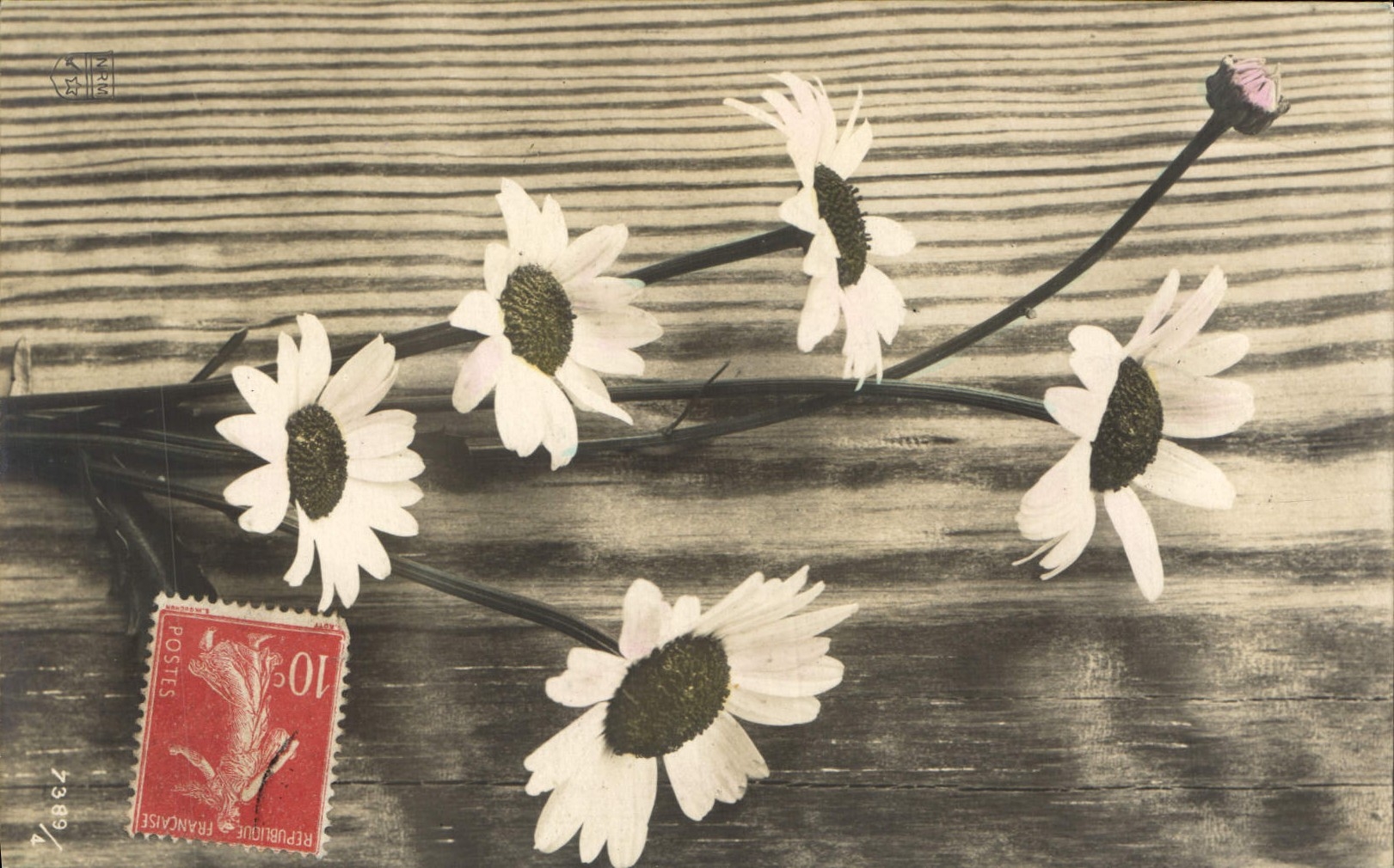 CPA Fantaisie Fleurs