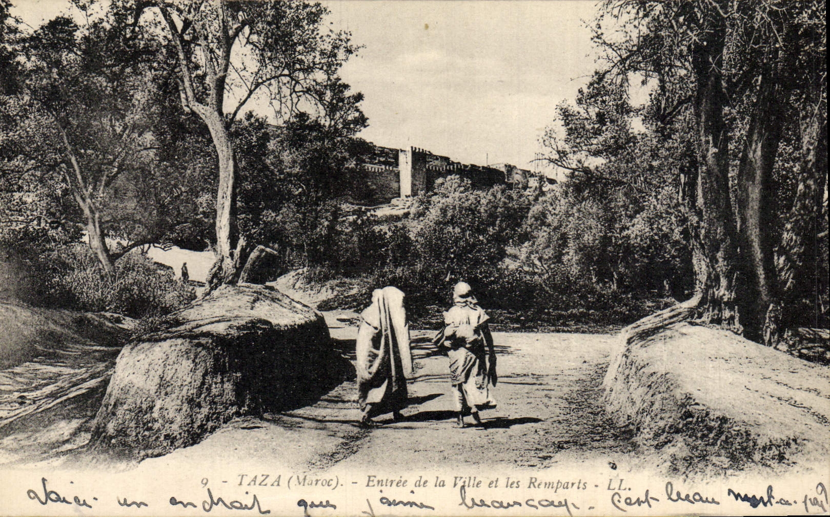 CPA Taza Entree de la Ville et les Remparts