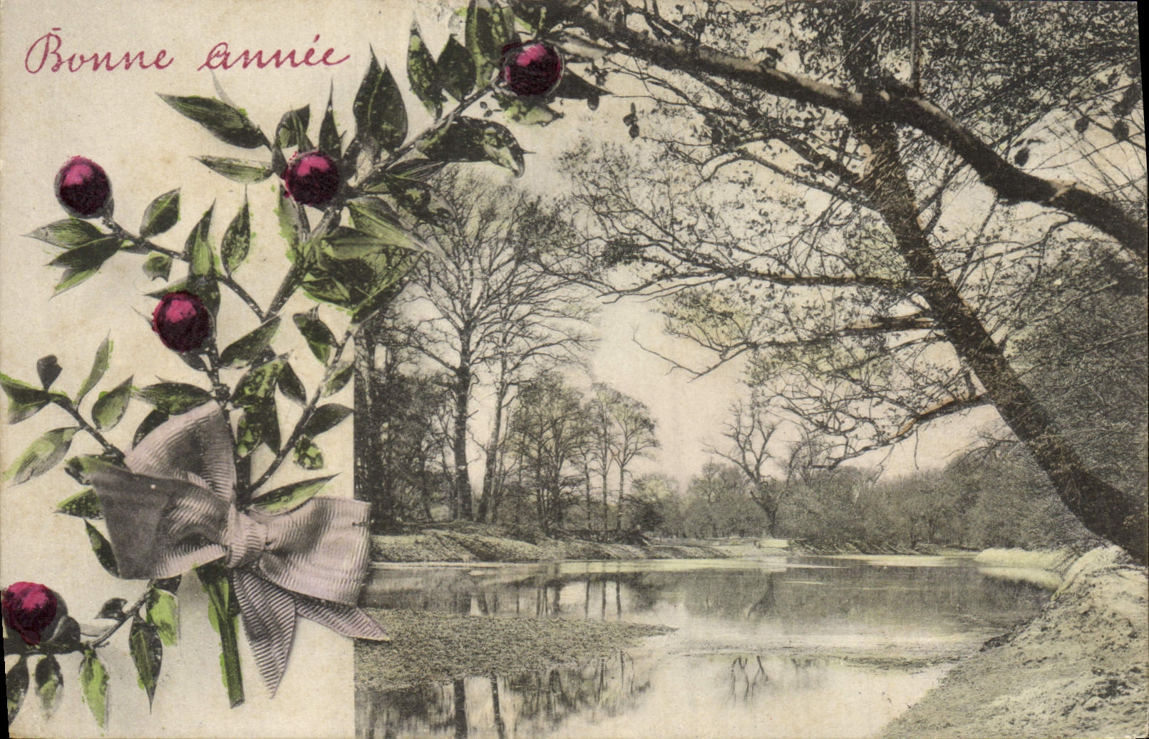 VINTAGE POSTCARD Natural Fantasy