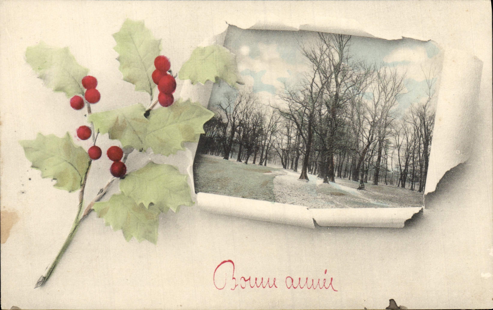 VINTAGE POSTCARD Fantasy Flowers Happy New Year Trees