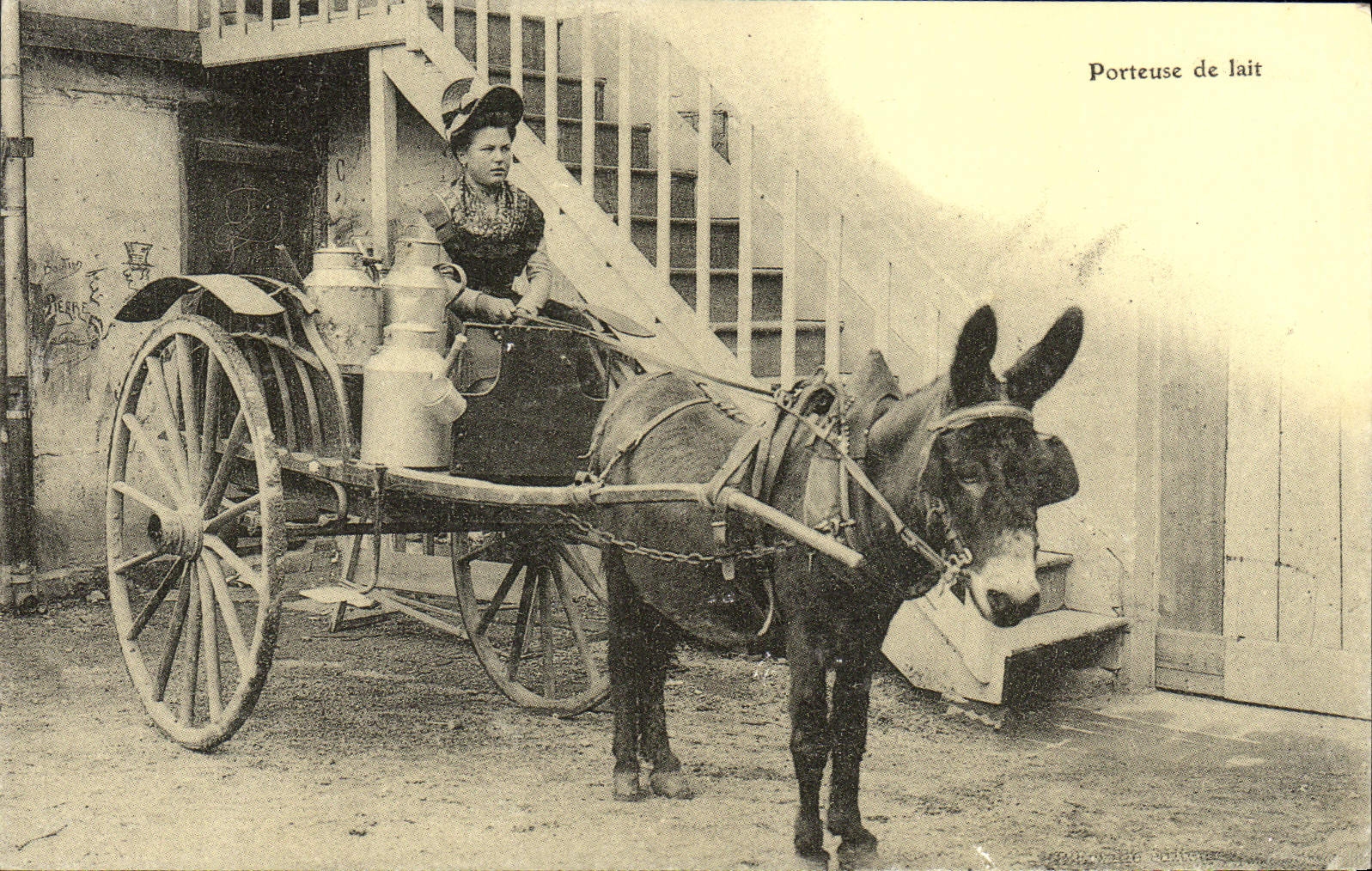 REPRO Porteuse de Lait Ane 
