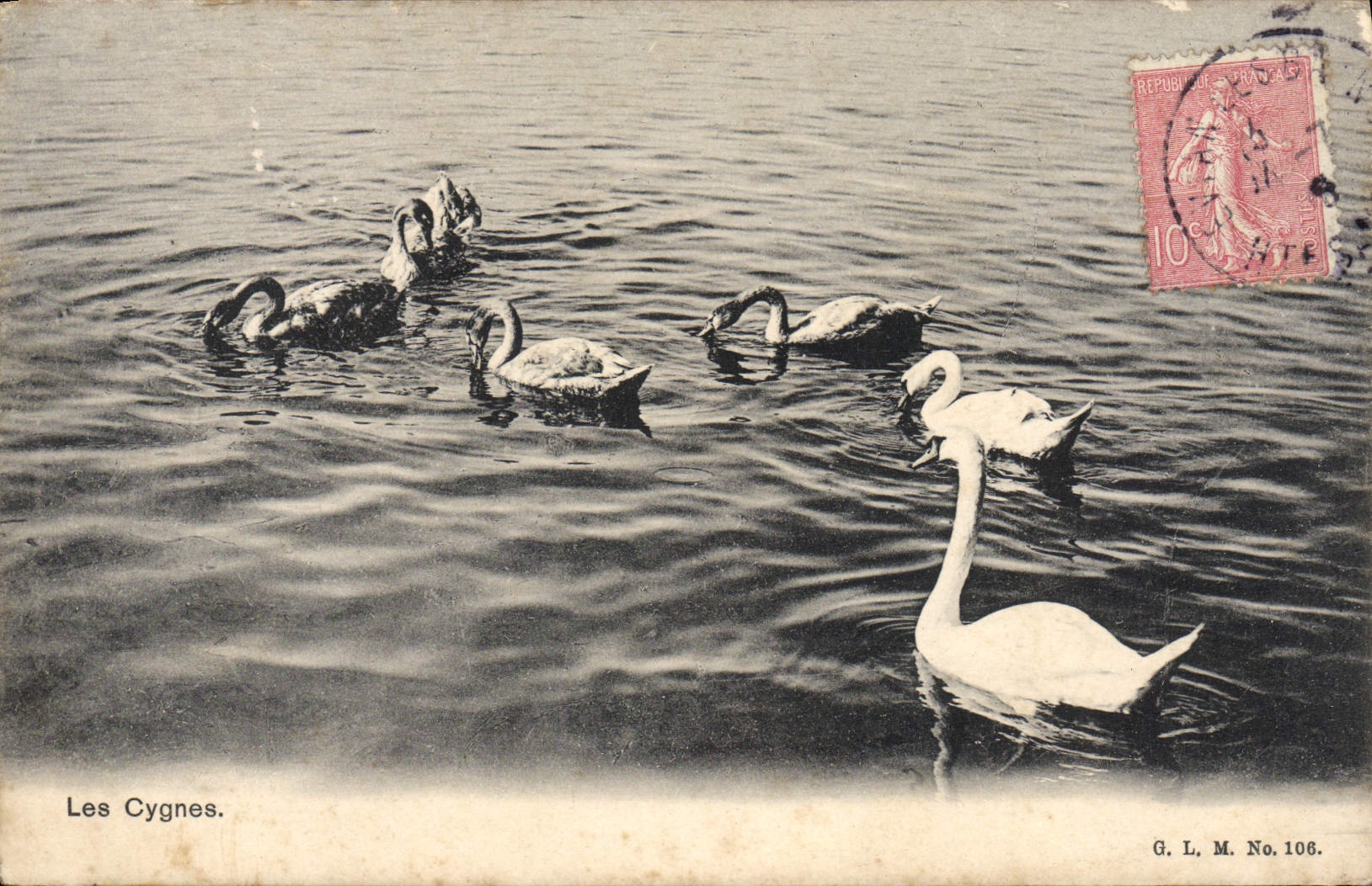 CPA Les Cygnes