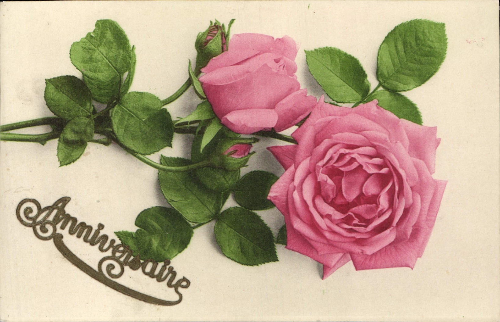 CPA Fantaisie Fleurs 