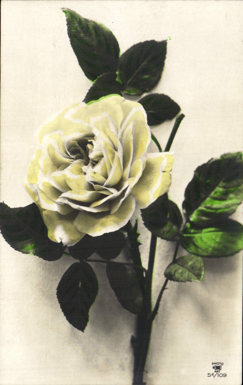 CPA Fantaisie Fleurs 