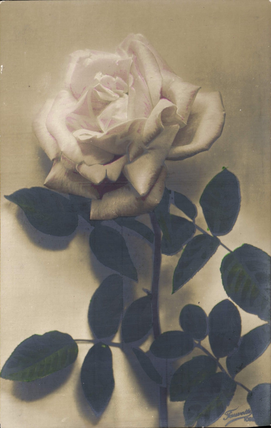 CPA Fantaisie Fleurs 