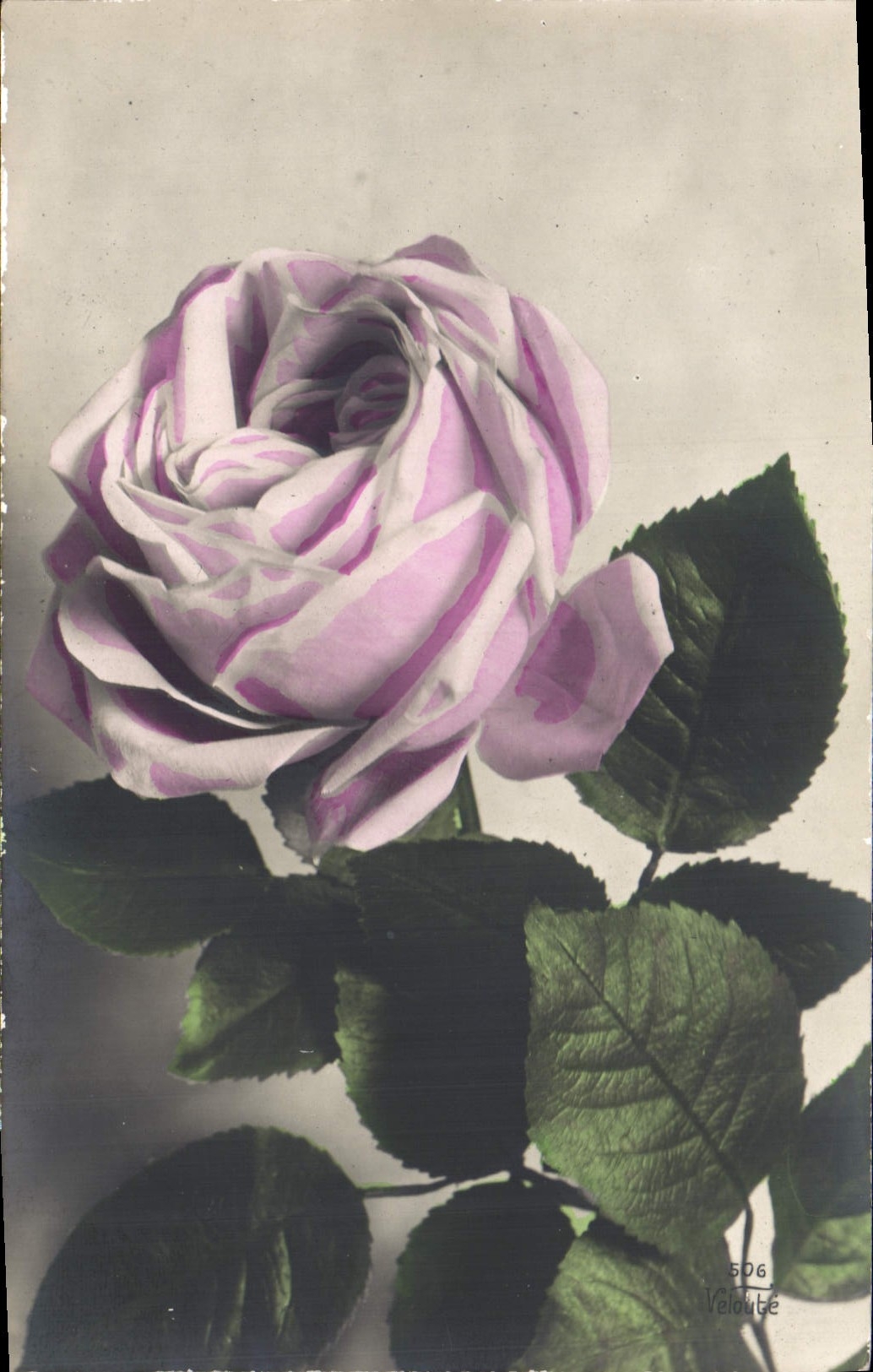 CPA Fantaisie Fleurs 