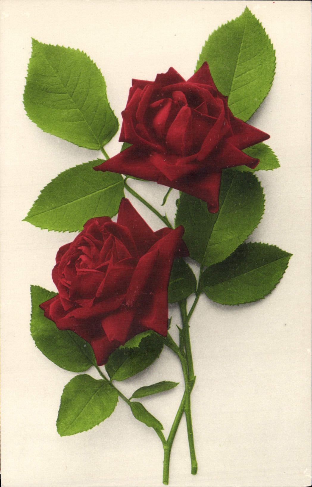 CPA Fantaisie Fleurs 