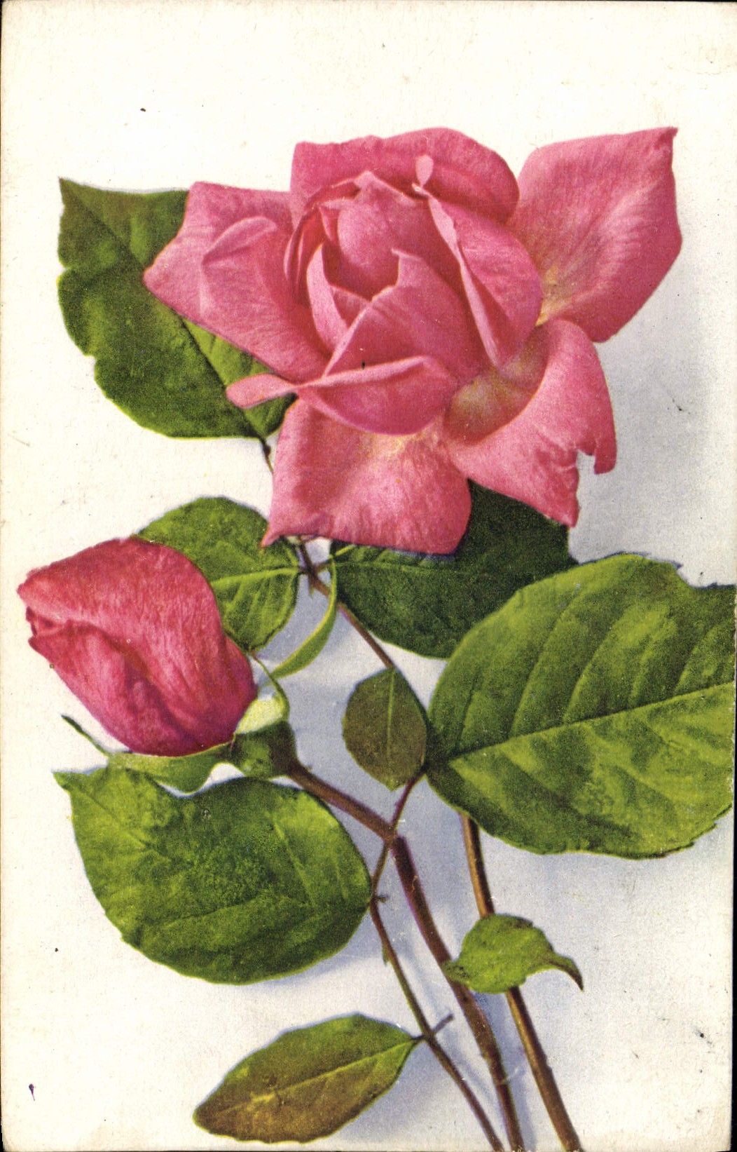 CPA Fantaisie Fleurs 