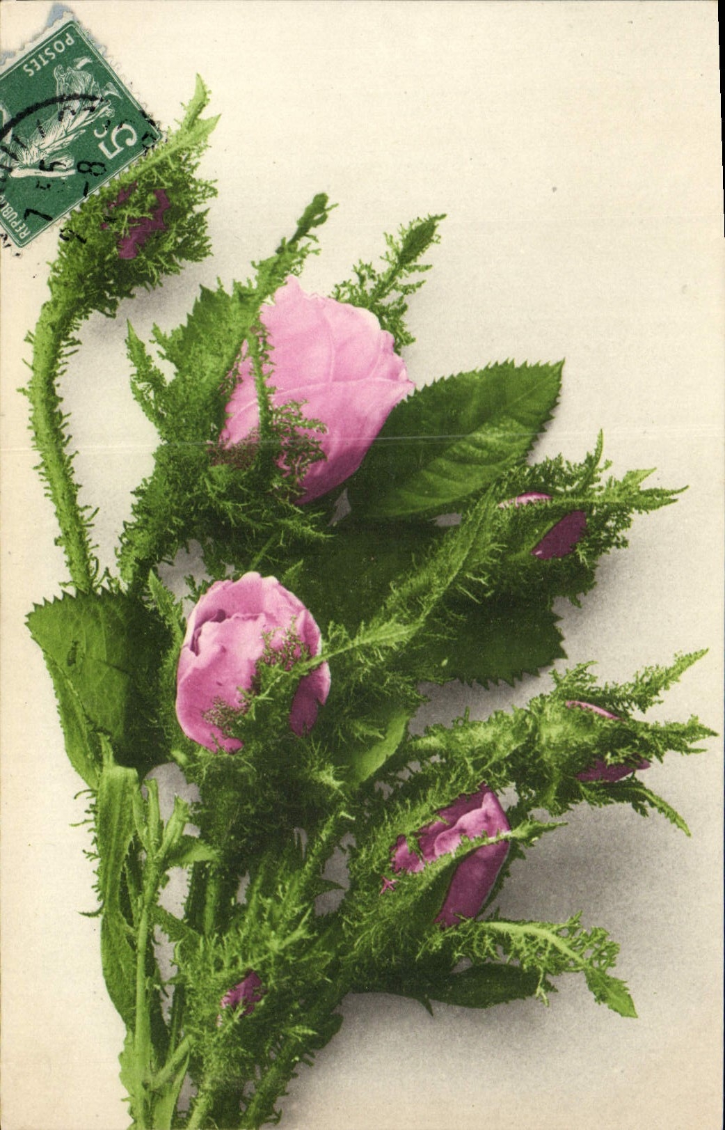 CPA Fantaisie Fleurs 