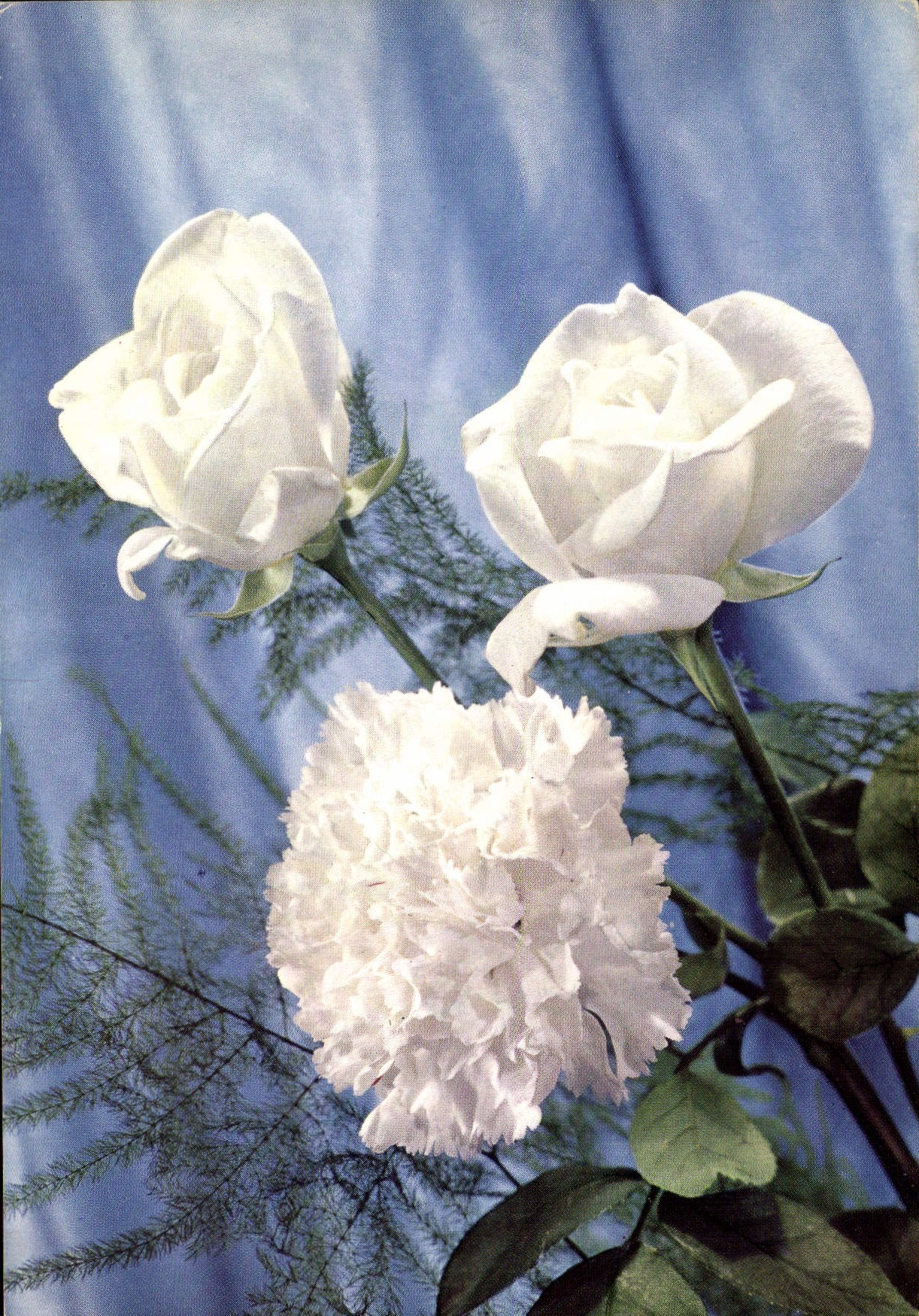 CPM Fantaisie Fleurs 