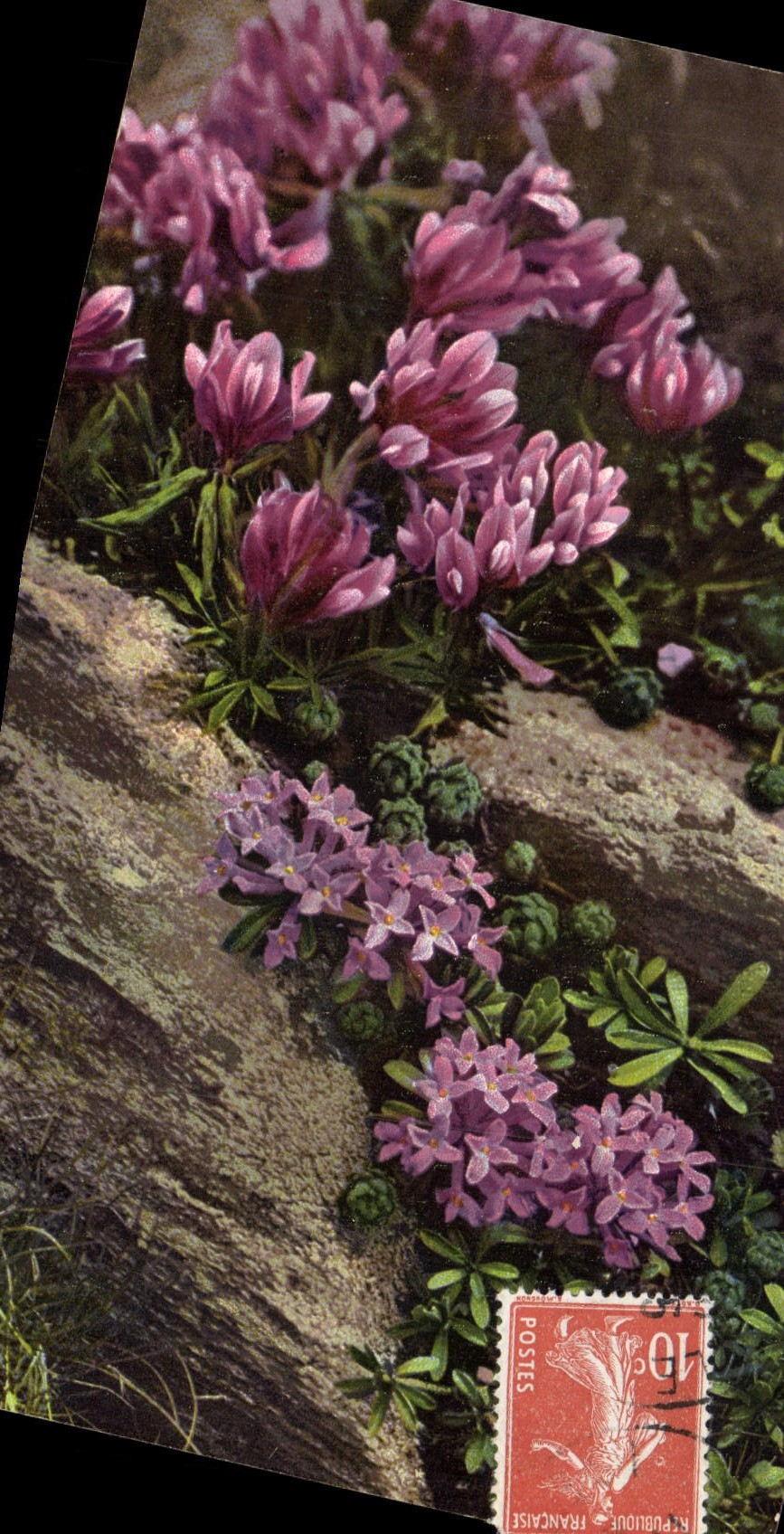 CPA Fantaisie Fleurs 