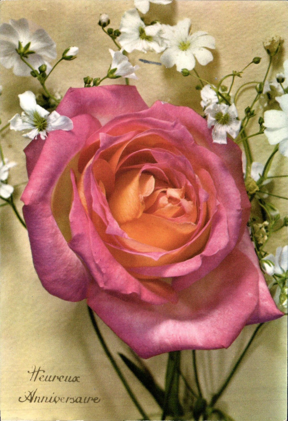 CPM Fantaisie Fleurs 