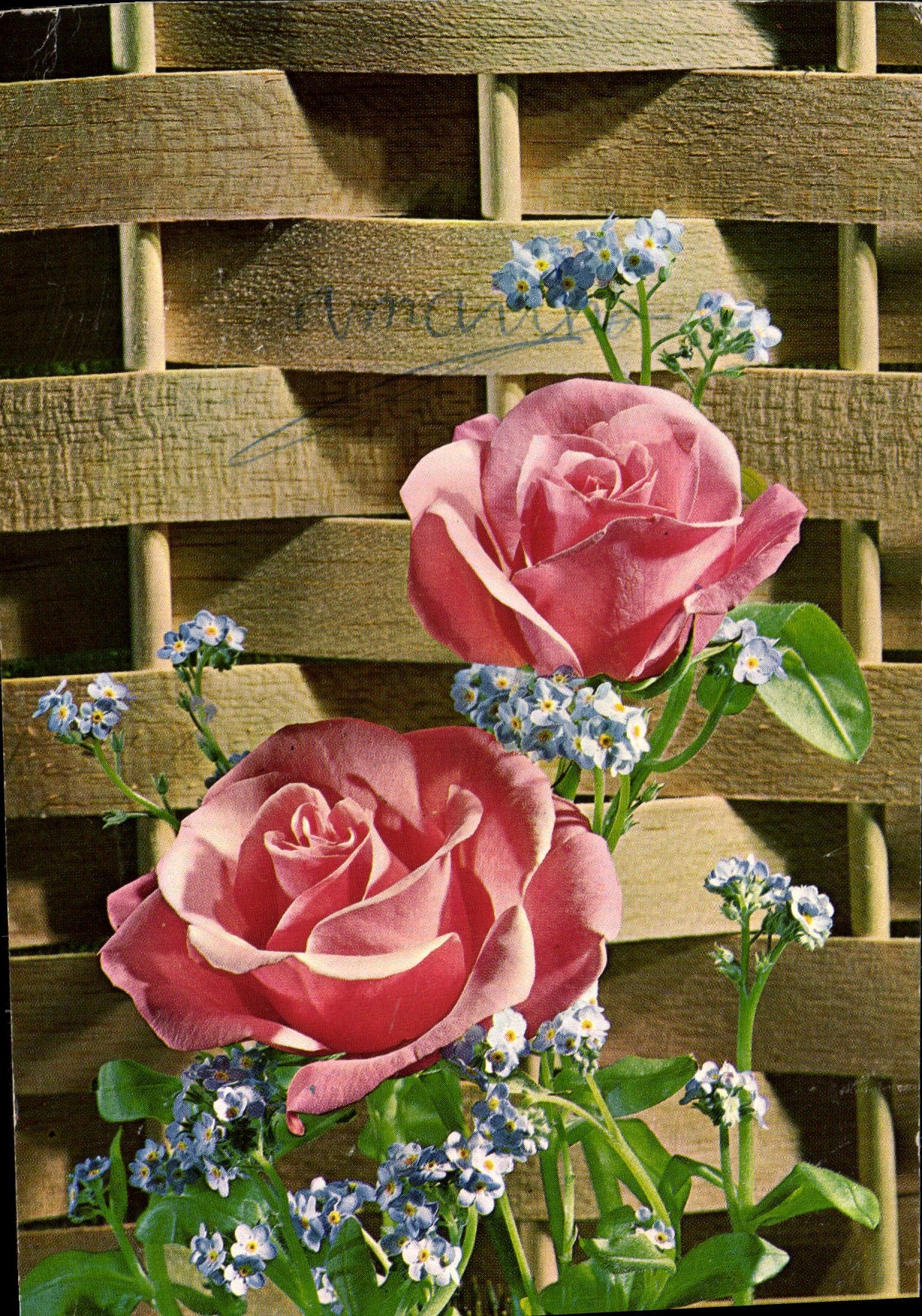 CPM Fantaisie Fleurs 