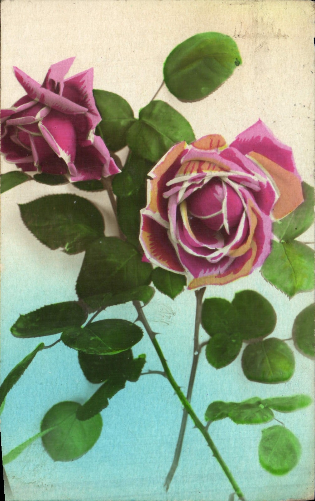 CPA Fantaisie Fleurs 