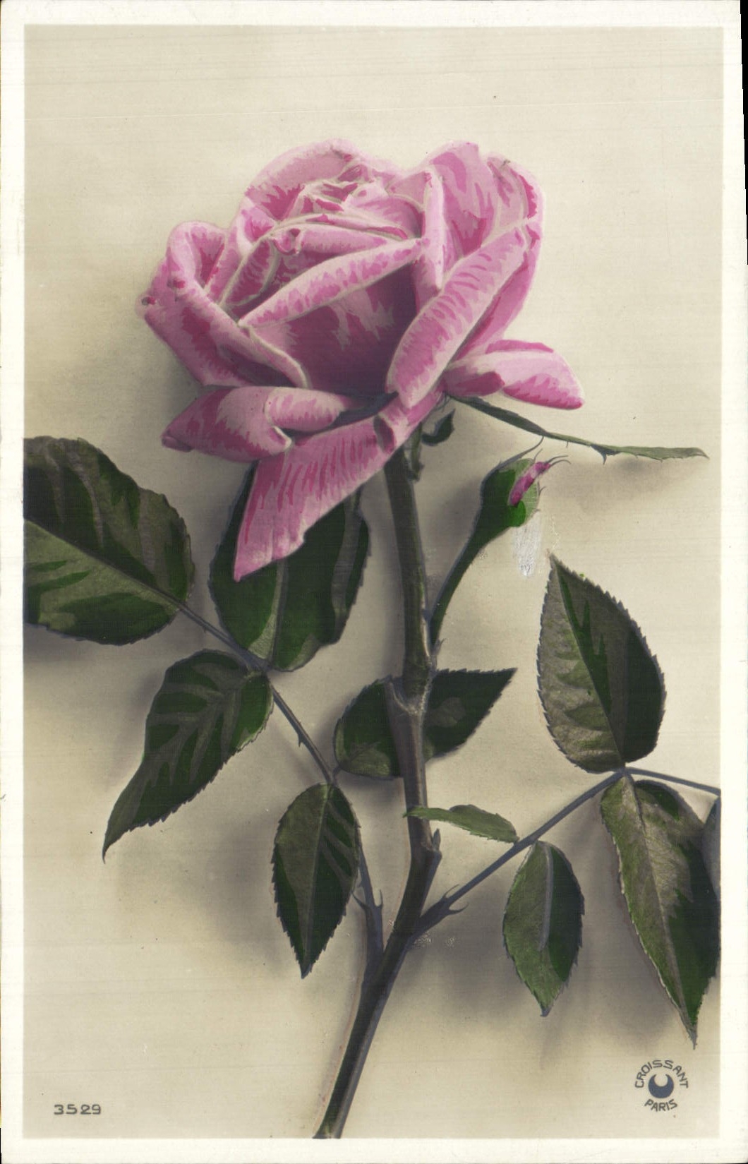 CPA Fantaisie Fleurs 