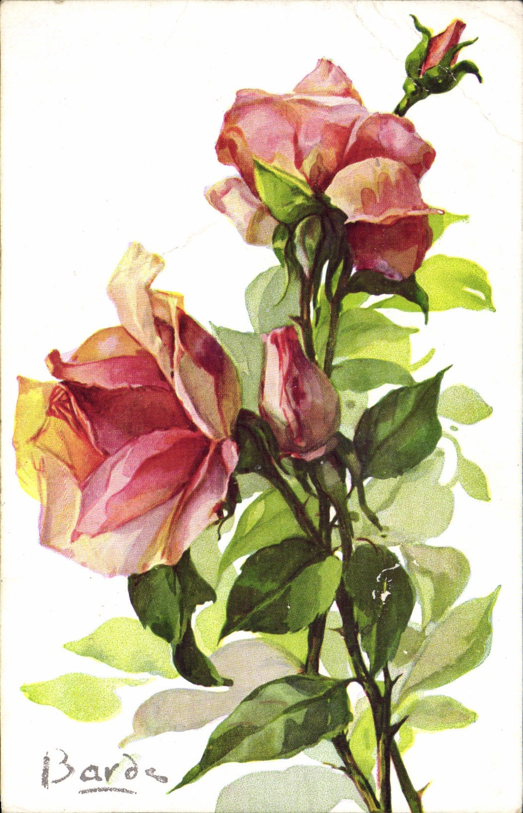 CPA Fantaisie Fleurs 