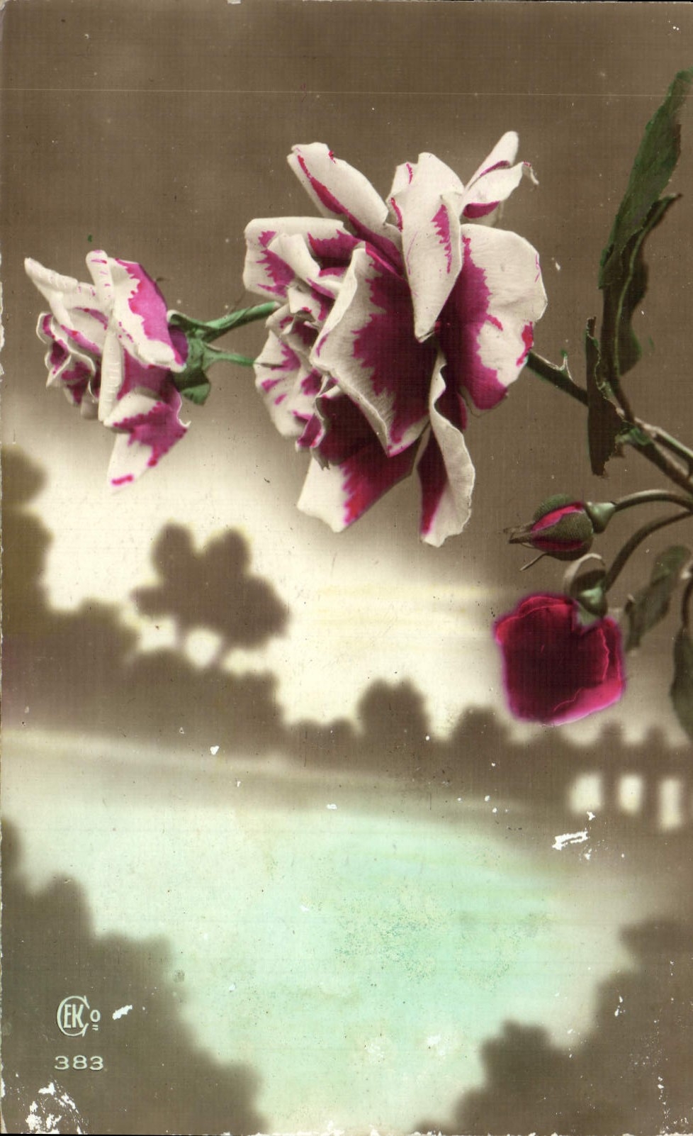 CPA Fantaisie Fleurs 