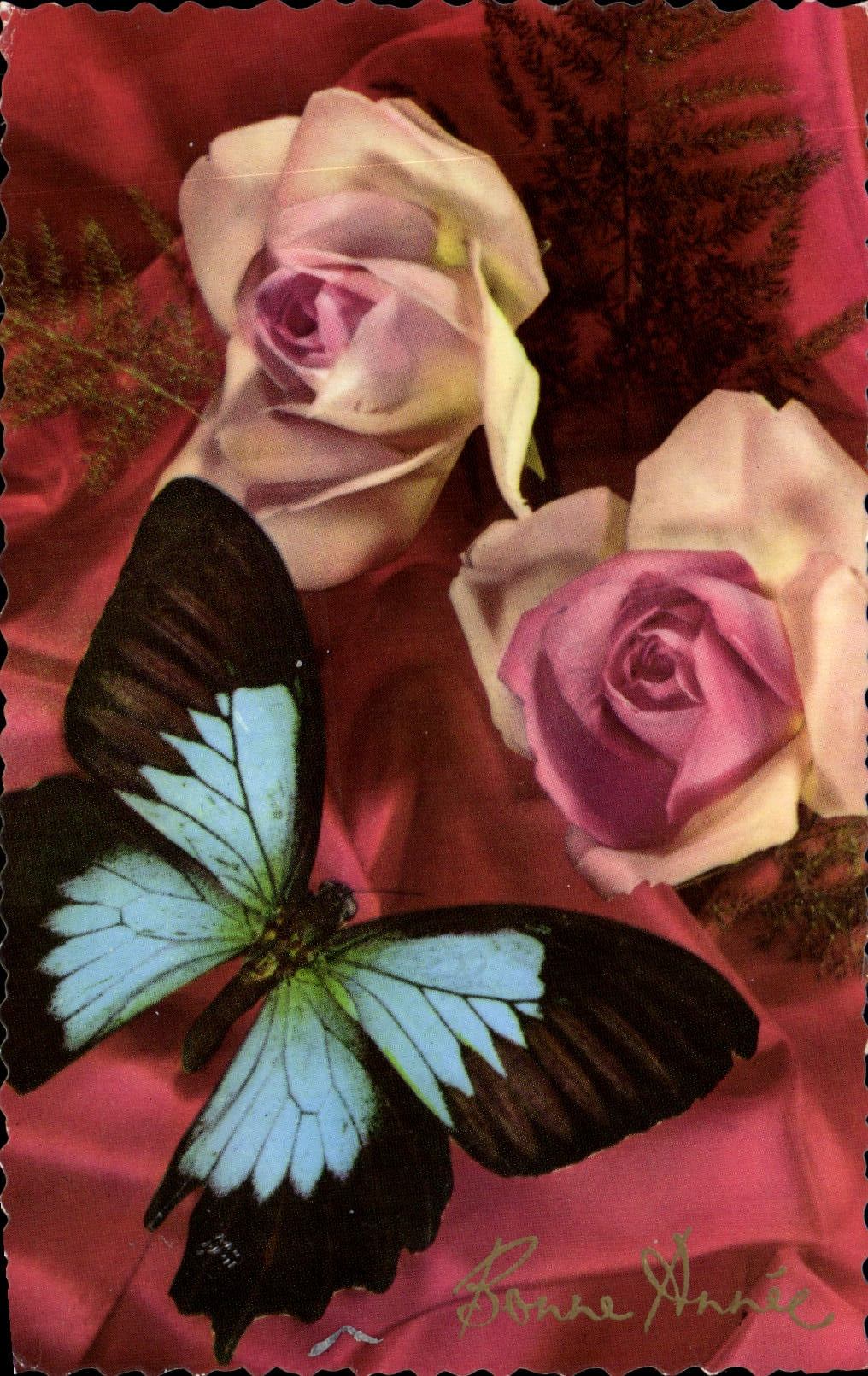 CPA Fantaisie Fleurs Papillon